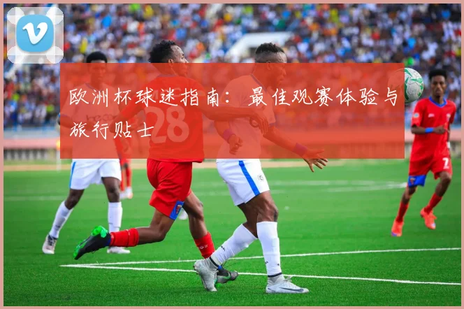 欧洲杯球迷指南：最佳观赛体验与旅行贴士